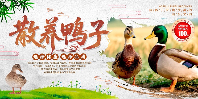 灰色中式风格散养鸭子农产品鸭子宣传展板鸭子宣传展板农产品展板农产品鸭肉展板