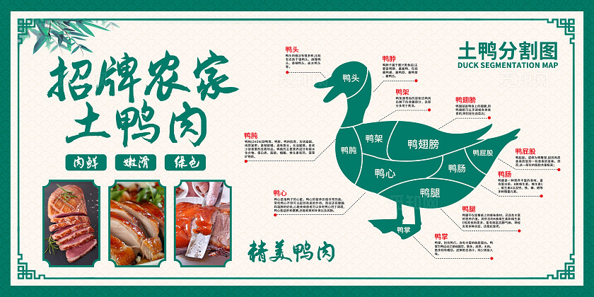 绿色中国风招牌农家土鸭肉鸭肉分割图展板背景农产品鸭肉展板