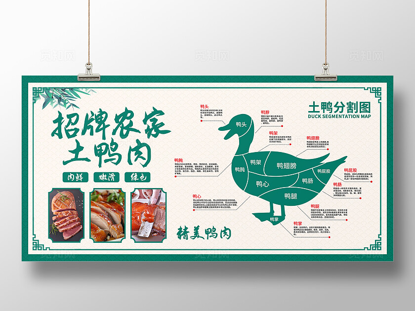 绿色中国风招牌农家土鸭肉鸭肉分割图展板背景农产品鸭肉展板