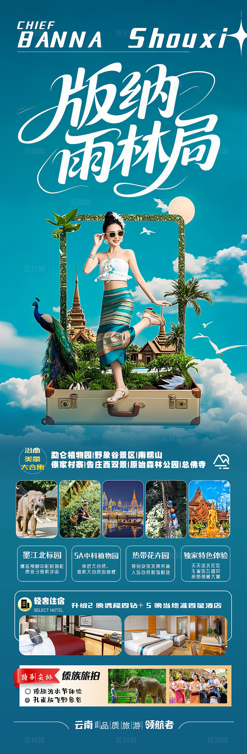 西双版纳旅游深蓝色的西双版纳雨林局旅游宣传海报