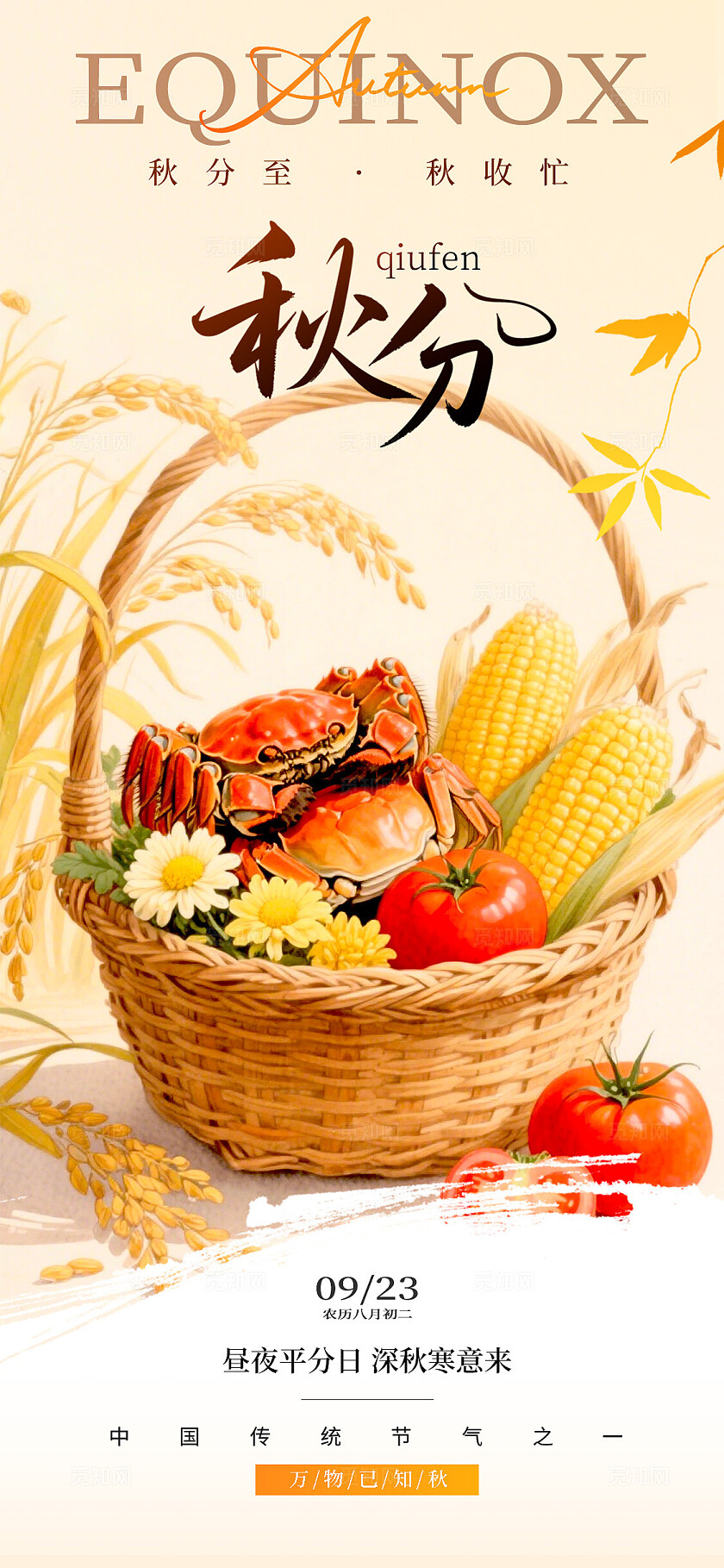 渐变色国潮风格秋分秋分宣传海报秋分海报秋分节气节气海报