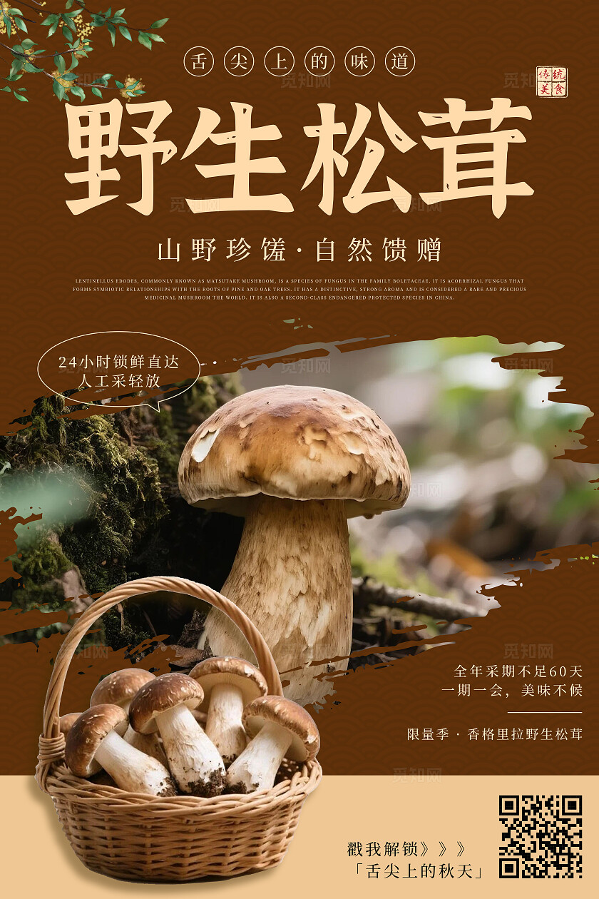 红色棕色简约野生松茸菌菇舌尖上的美味海报套图