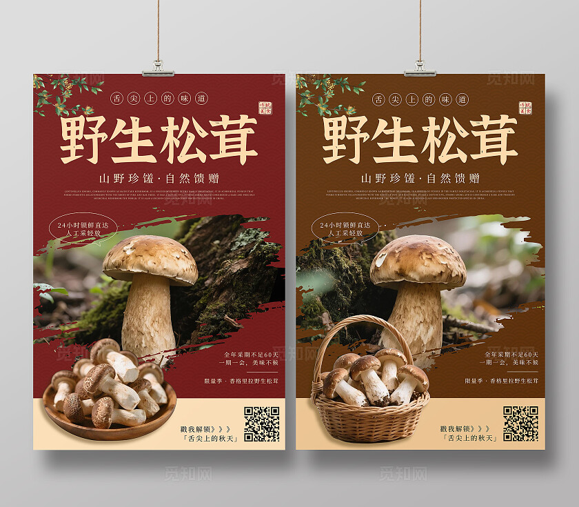红色棕色简约野生松茸菌菇舌尖上的美味海报套图