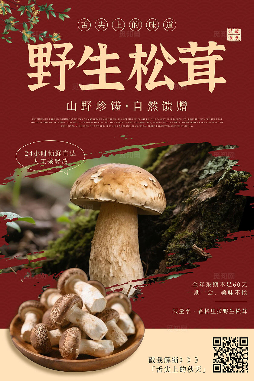 红色棕色简约野生松茸菌菇舌尖上的美味海报套图
