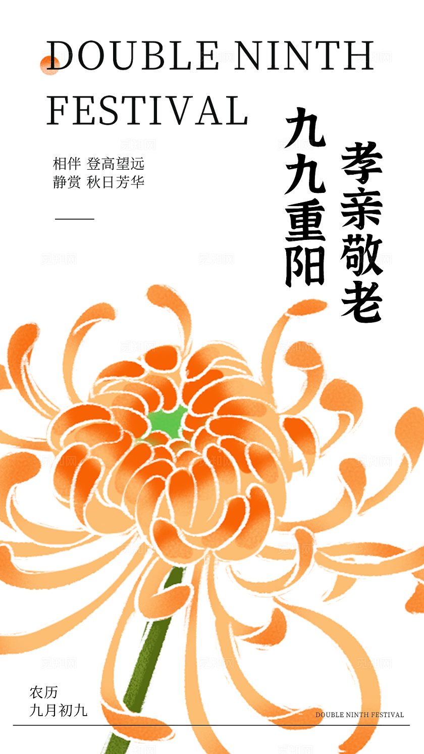 中式工笔国潮风格菊花海报重阳节