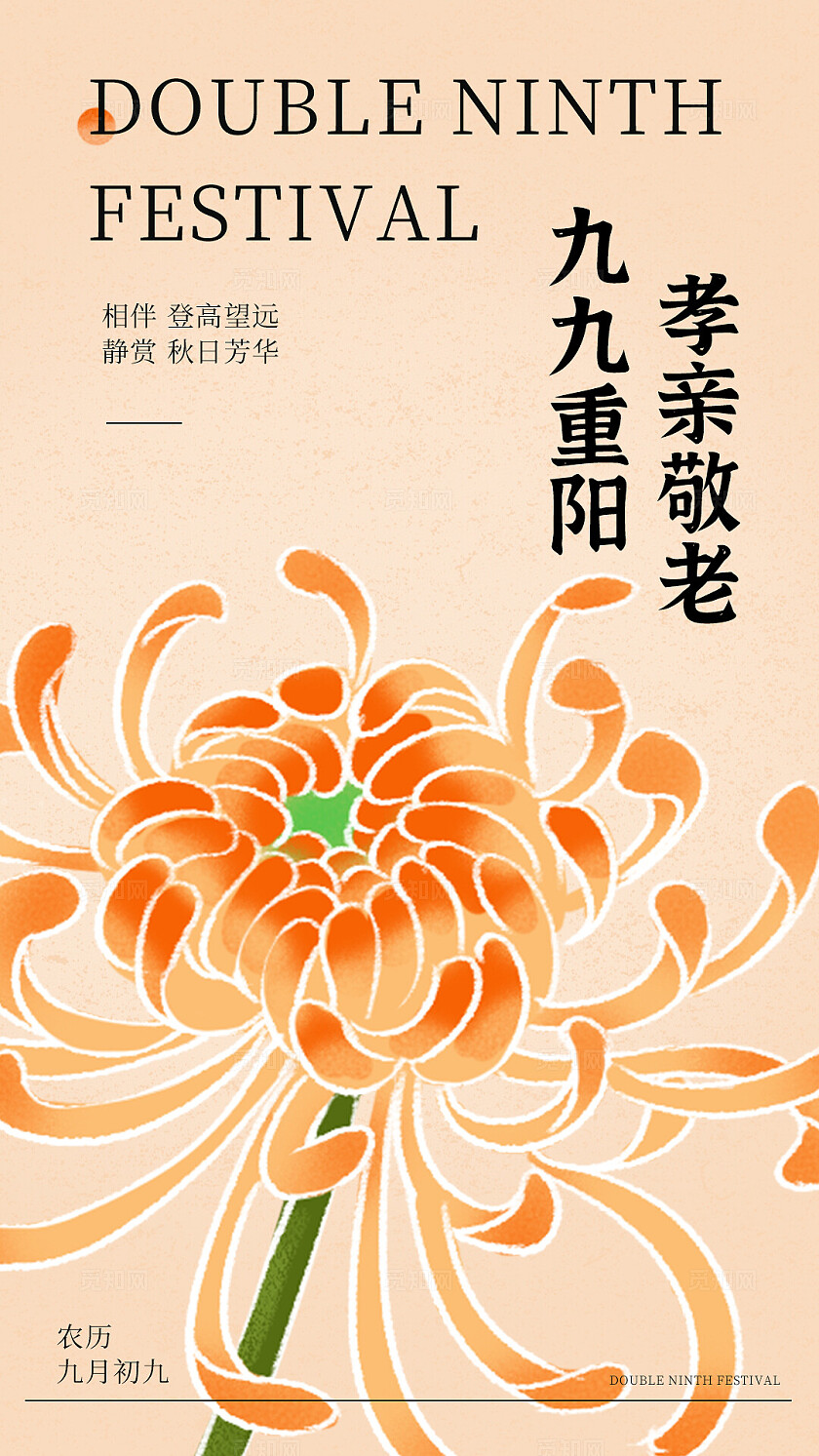 中式工笔国潮风格菊花海报重阳节