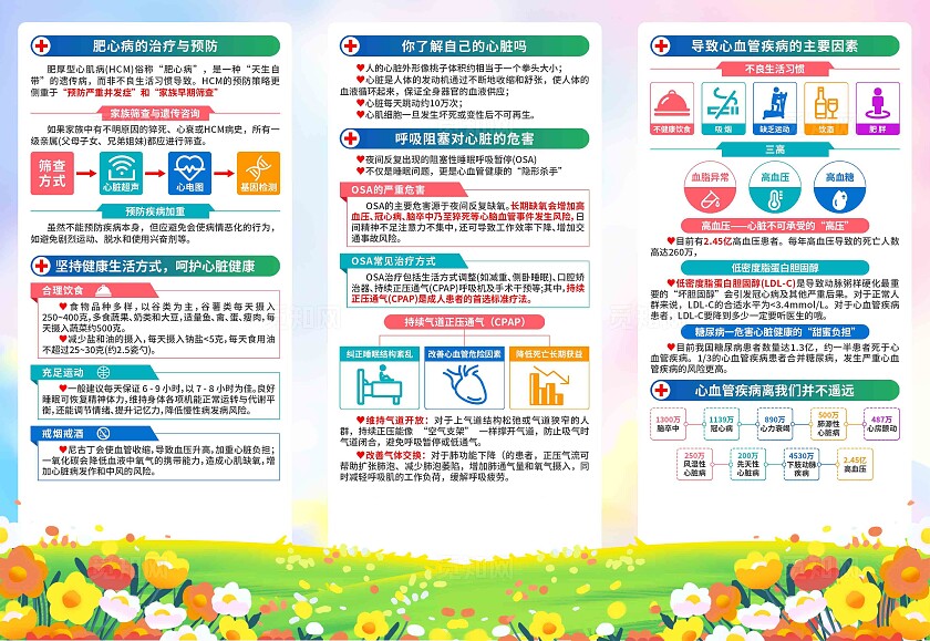 2025年世界心脏日三折页