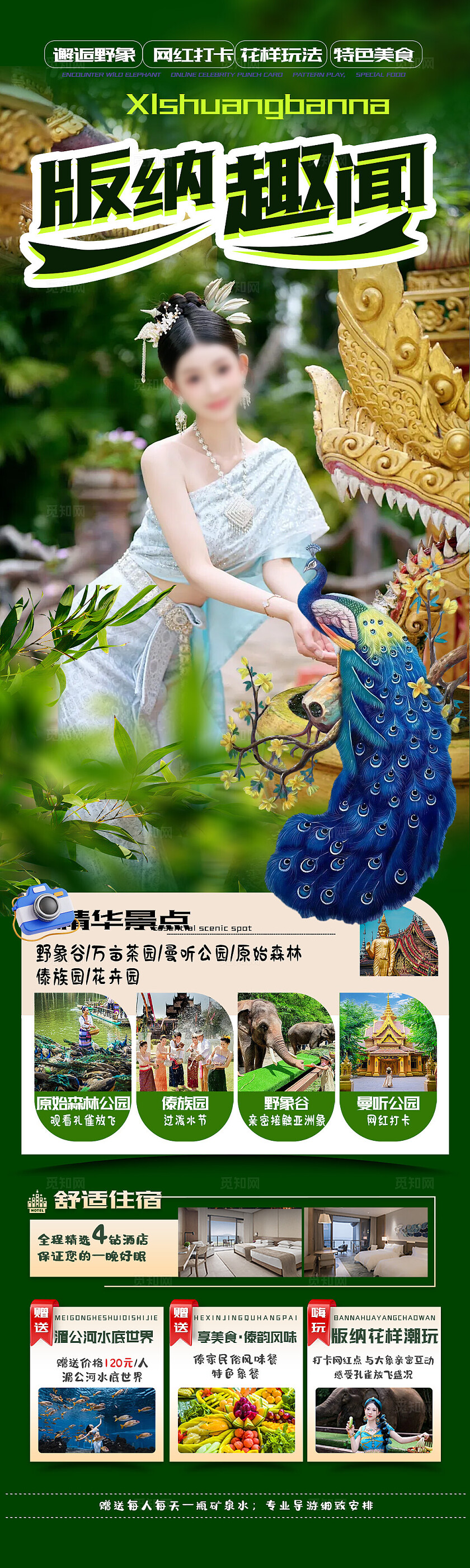 西双版纳旅游绿色版纳趣闻旅游宣传海报