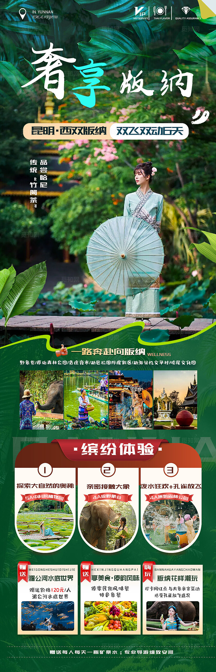 西双版纳旅游绿色版纳奢享版纳旅游宣传海报