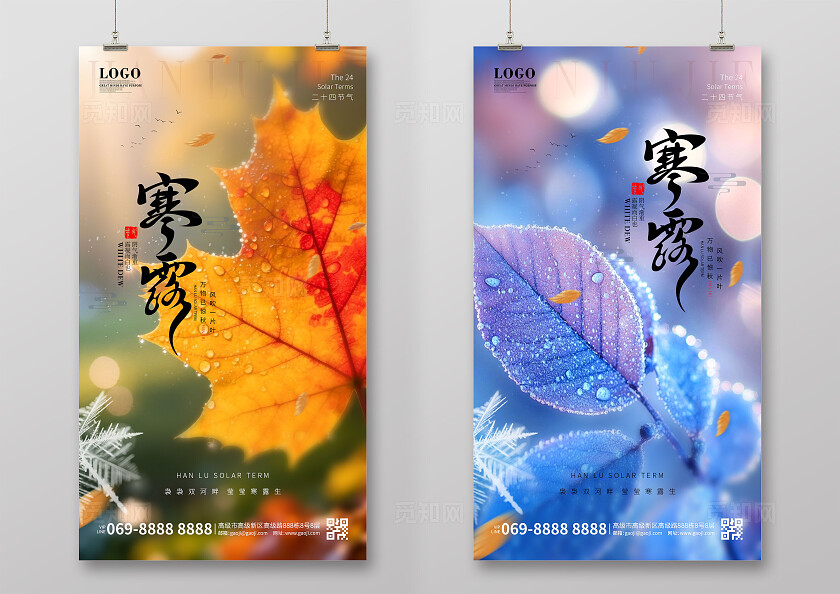 实拍风简约创意二十四节气寒露节气手机海报