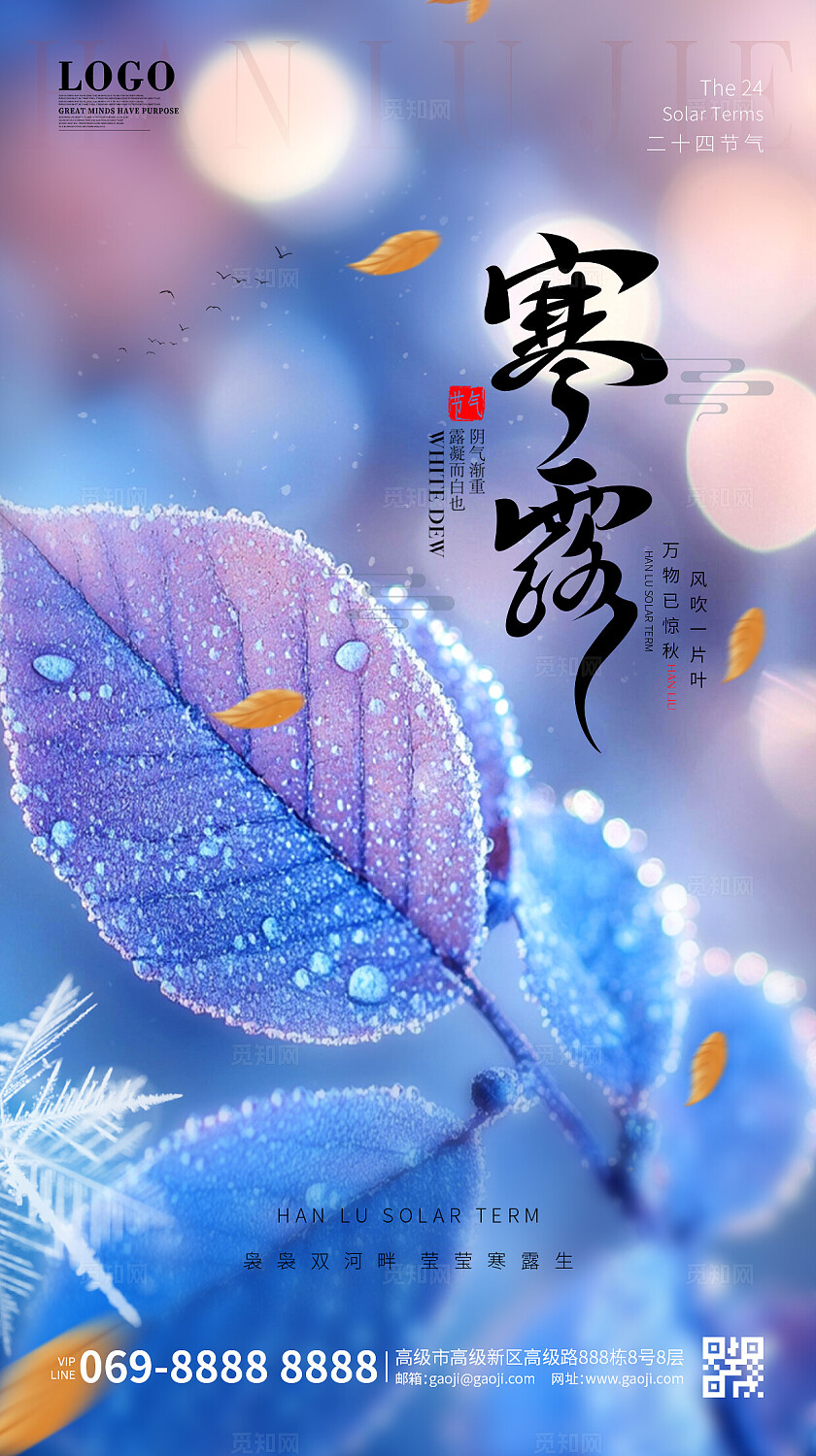 实拍风简约创意二十四节气寒露节气手机海报