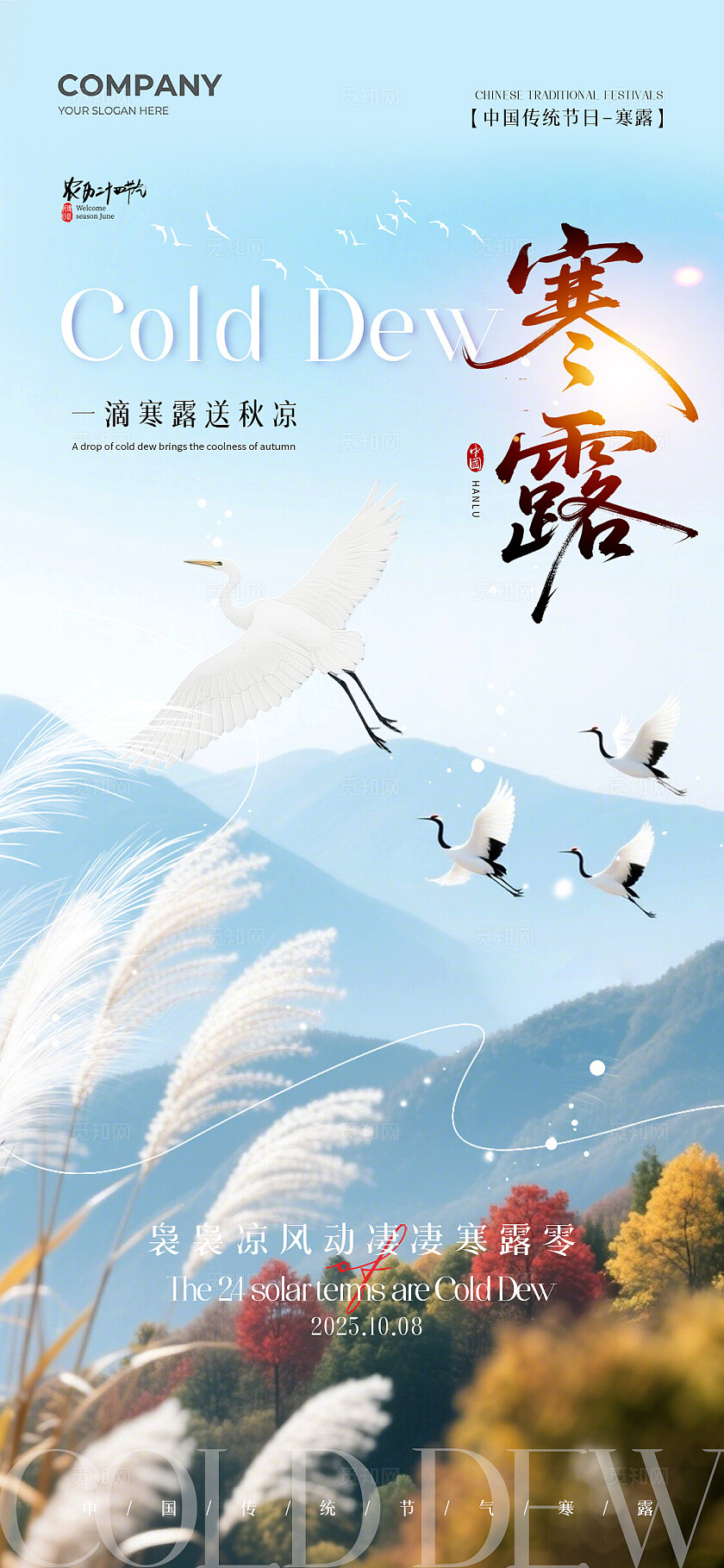 秋季风景二十四节气寒露节气手机宣传海报