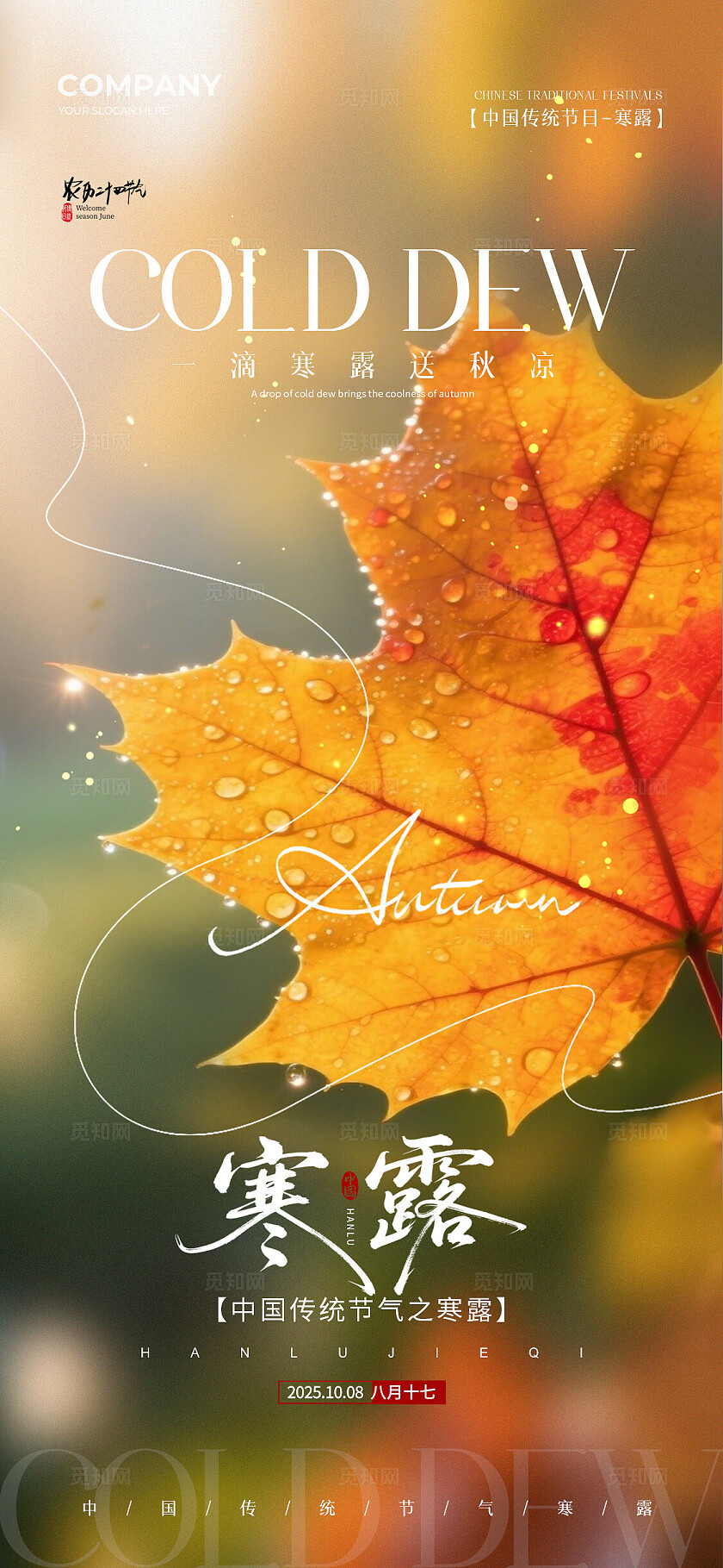 实拍风二十四节气寒露节气手机宣传海报