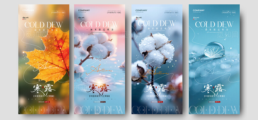 实拍风二十四节气寒露节气手机宣传海报