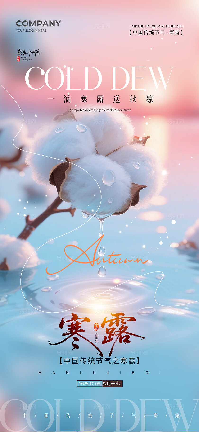 实拍风二十四节气寒露节气手机宣传海报
