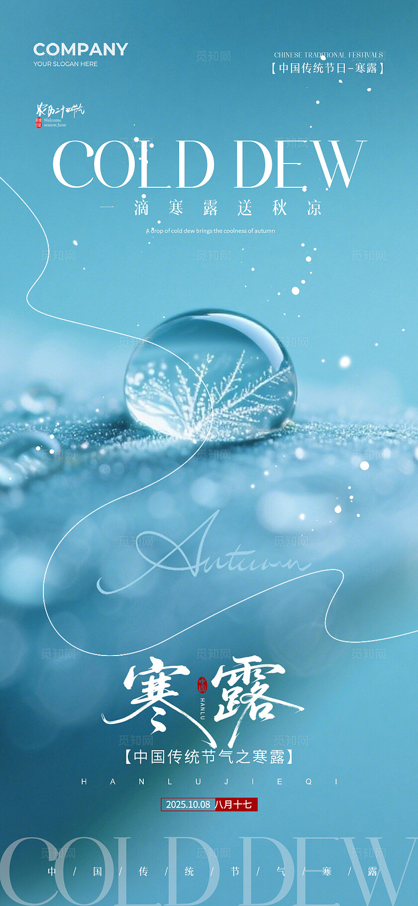 实拍风二十四节气寒露节气手机宣传海报