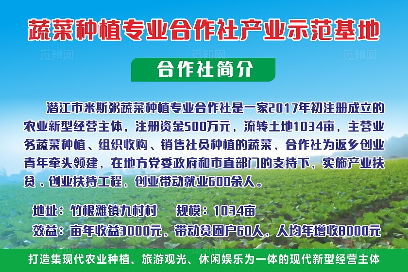 蓝色农业蔬菜种植产业示范基地简介展板非转曲常规