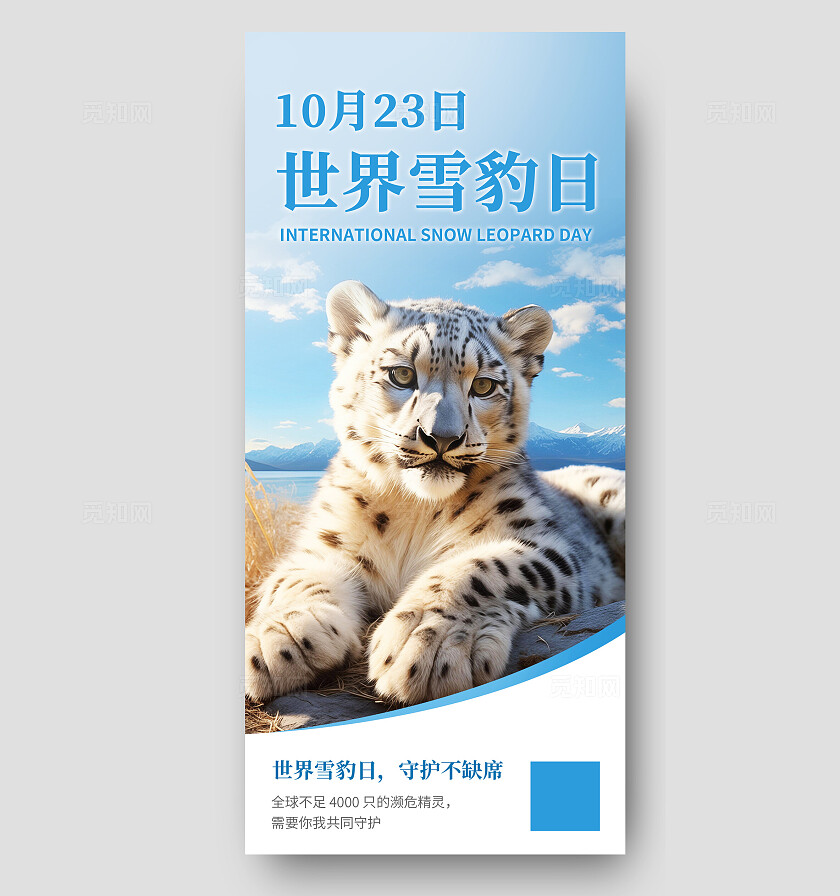 简约世界雪豹日保护濒危动物海报