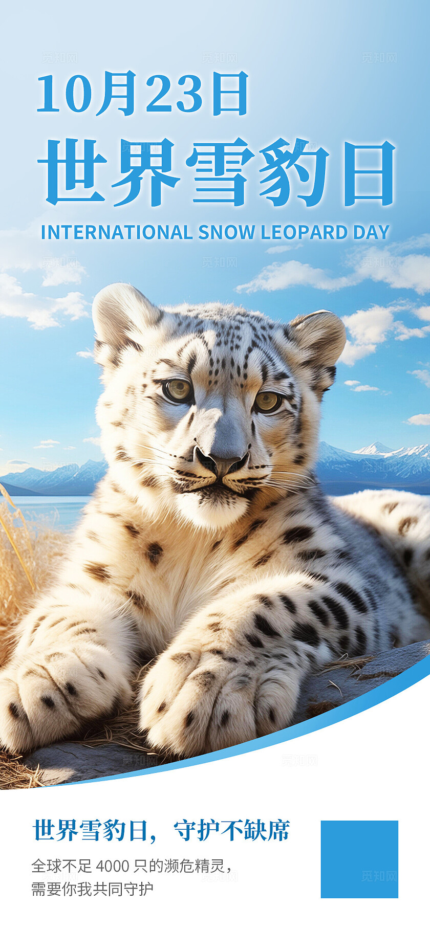 简约世界雪豹日保护濒危动物海报