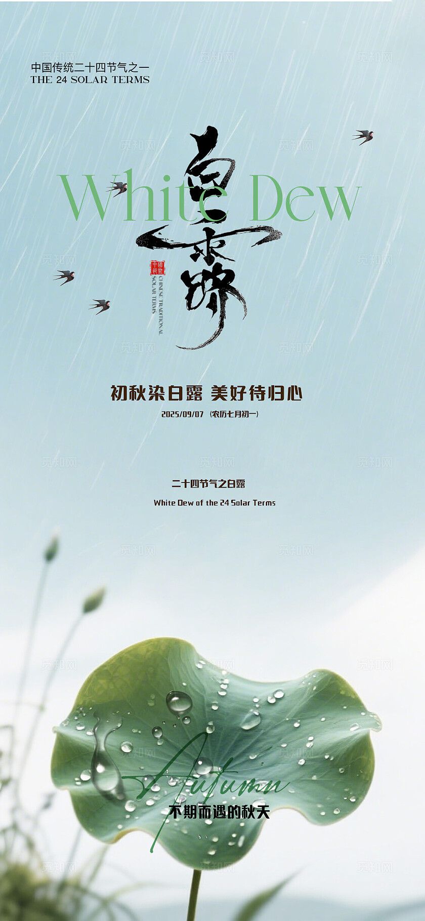 蓝色白露二十四节气海报宣传海报