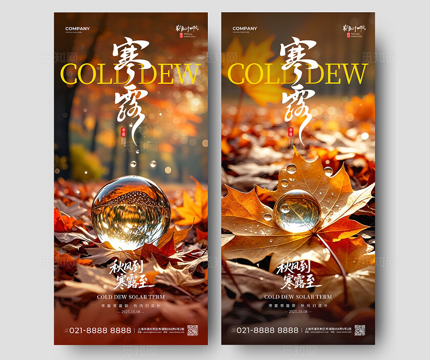棕色实拍风2025寒露节气秋天露珠手机宣传海报套图