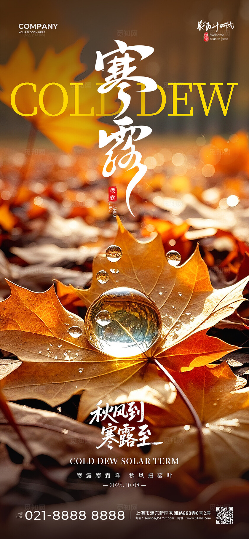 棕色实拍风2025寒露节气秋天露珠手机宣传海报套图