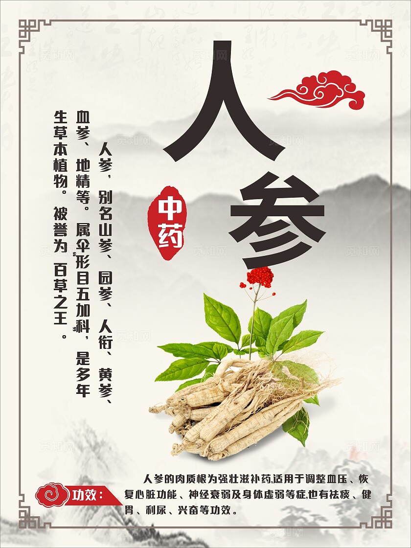 古韵古风中药材人参功效简介展板非转曲常规