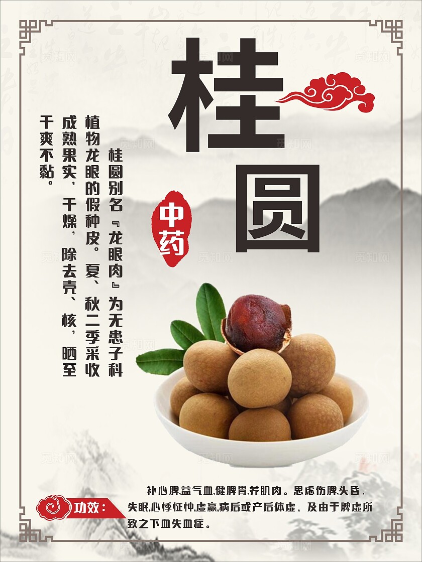 古韵古风中药材桂圆功效简介展板非转曲常规