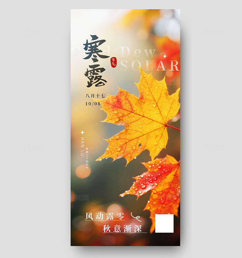 二十四节气之寒露节气海报