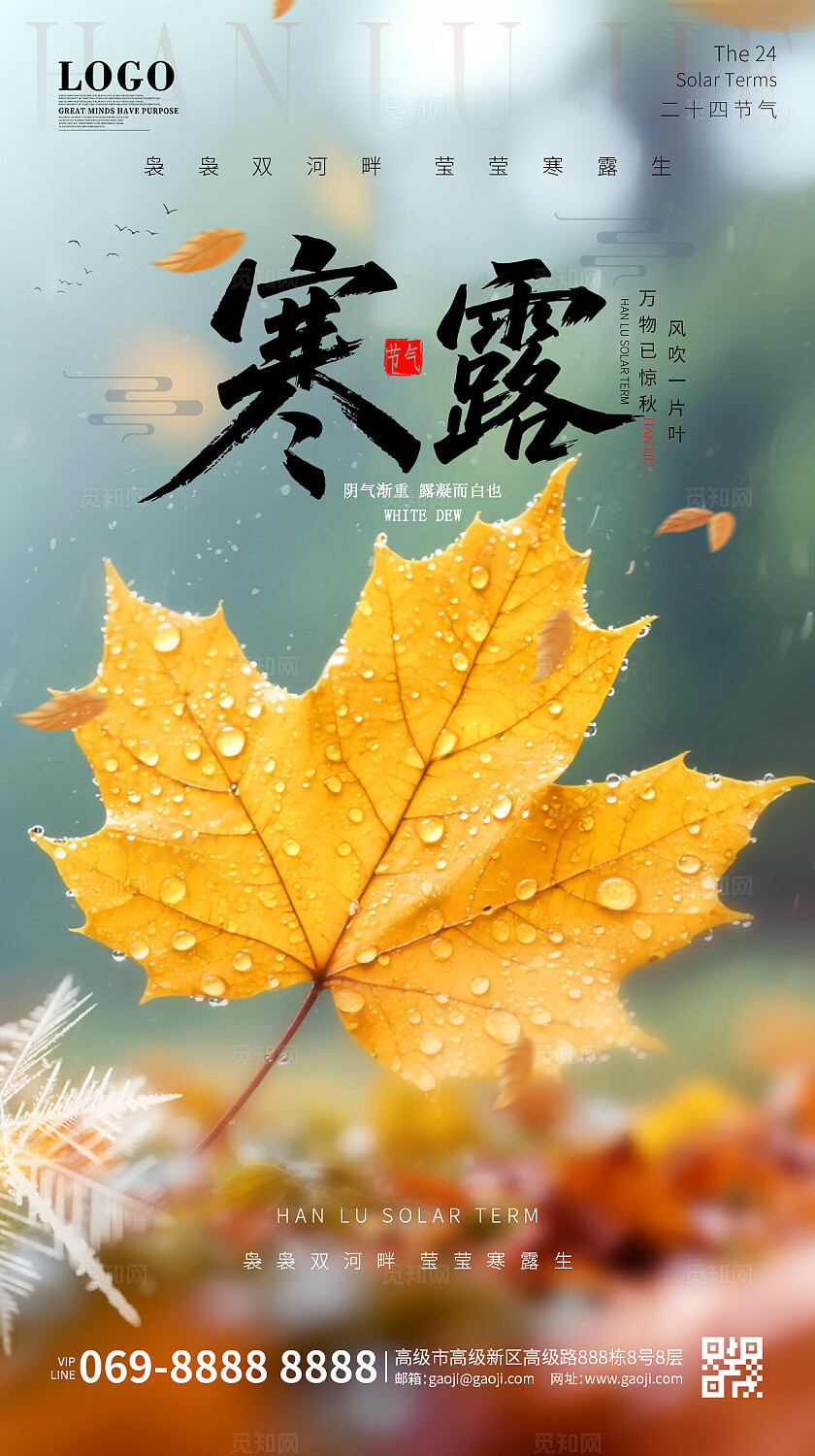 实拍风简约大气二十四节气寒露节气手机宣传海报
