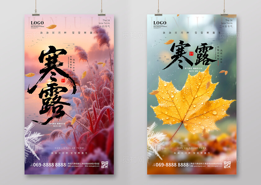 实拍风简约大气二十四节气寒露节气手机宣传海报
