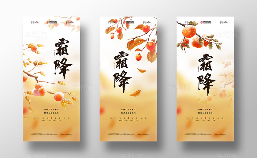 简约24节气霜降节气海报