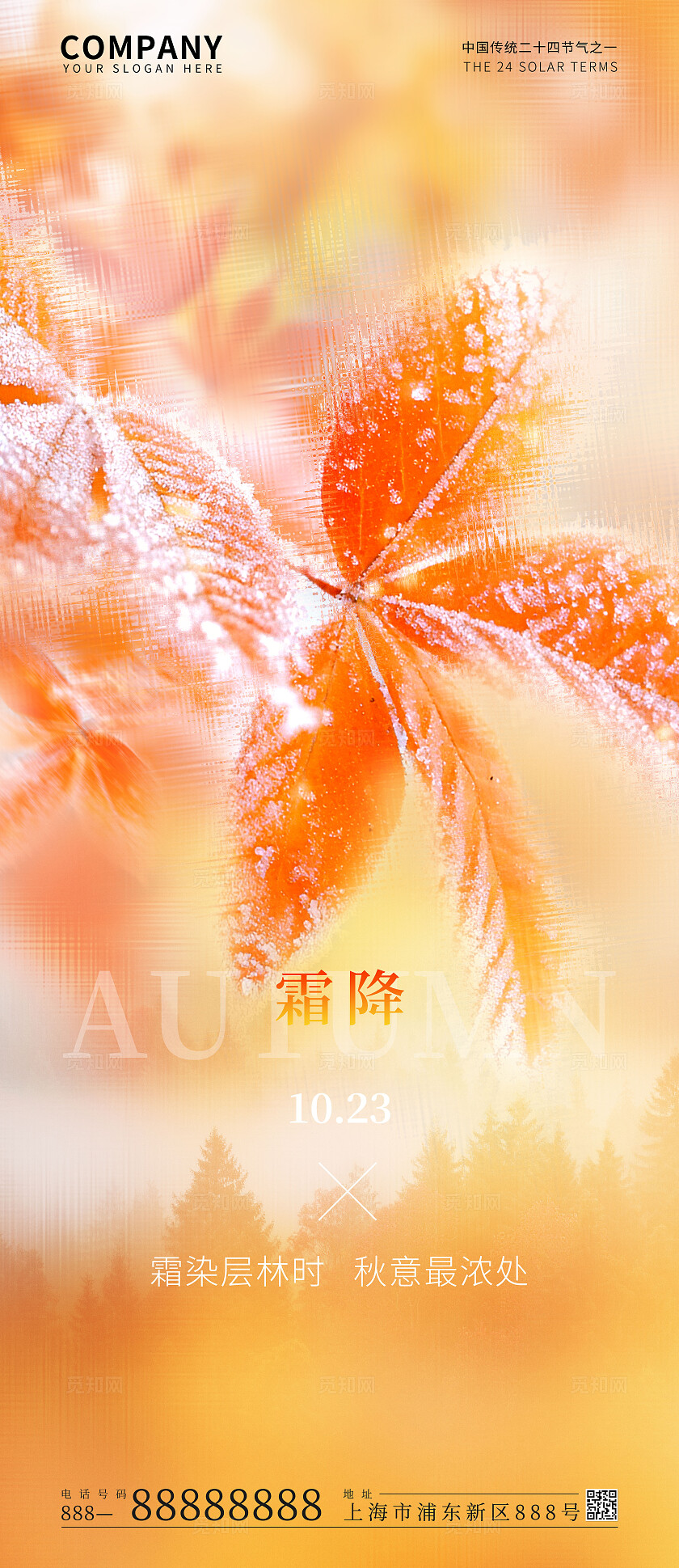 橙黄色简约霜降节气海报