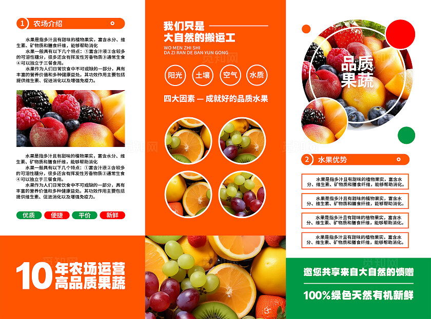 清新简约水果三折页宣传折页设计