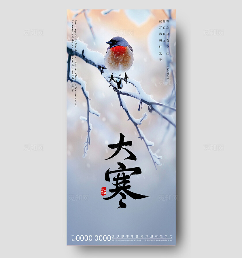 灰白淡雅风格大寒节气主题海报