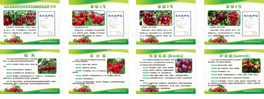 绿色果树研究所培育新品介绍展板非转曲宣传
