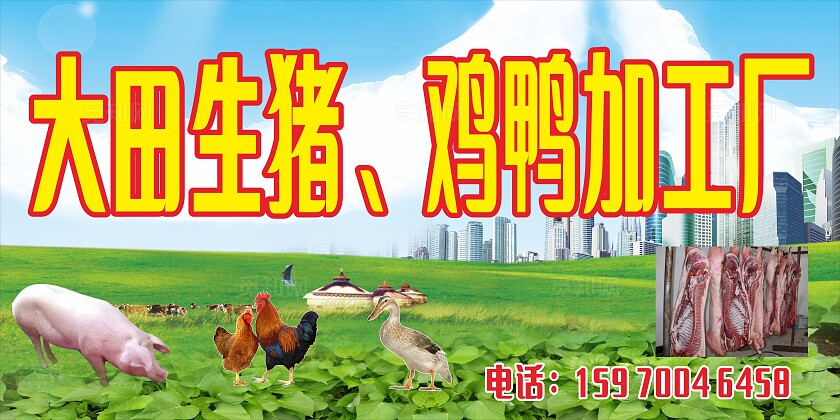 蓝天绿草大田生猪鸡鸭加工厂招牌门头非转曲宣传