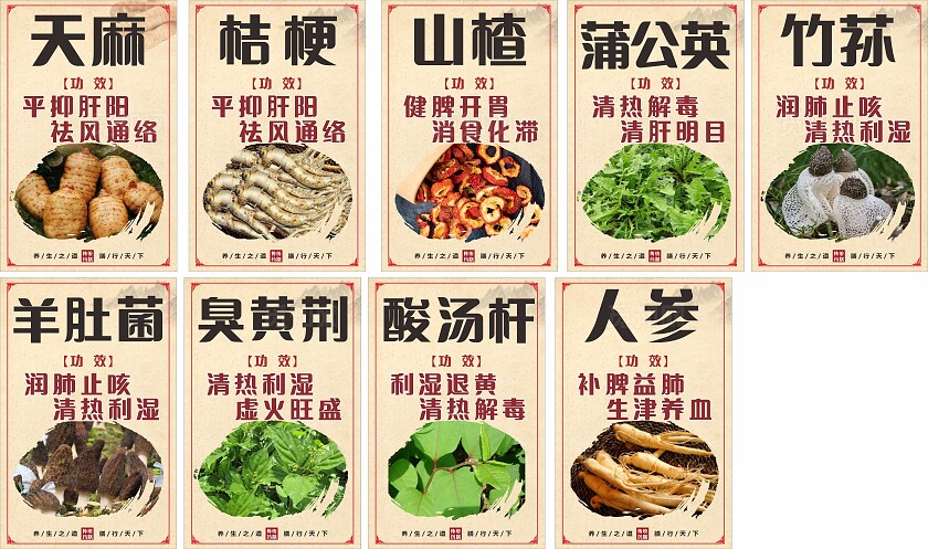 红色中药材功效展板非转曲宣传