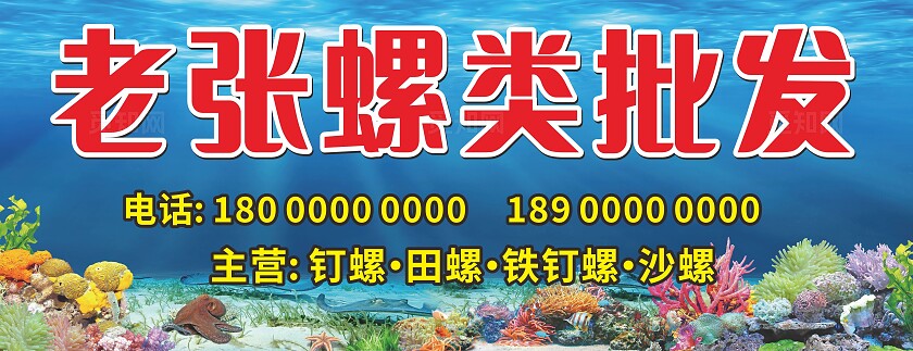 蓝色老张螺类批发招牌门头非转曲宣传