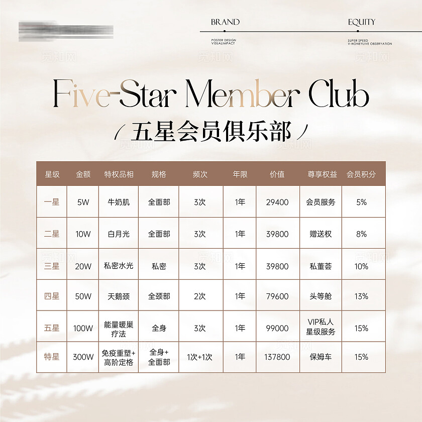 医美会员等级表背景板