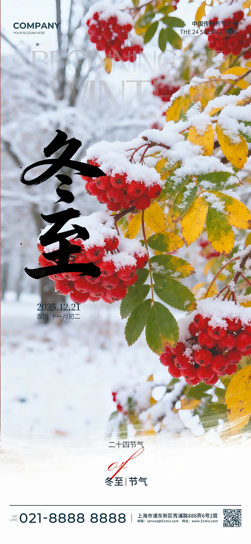 冬至二十四节气雪压红果国风海报