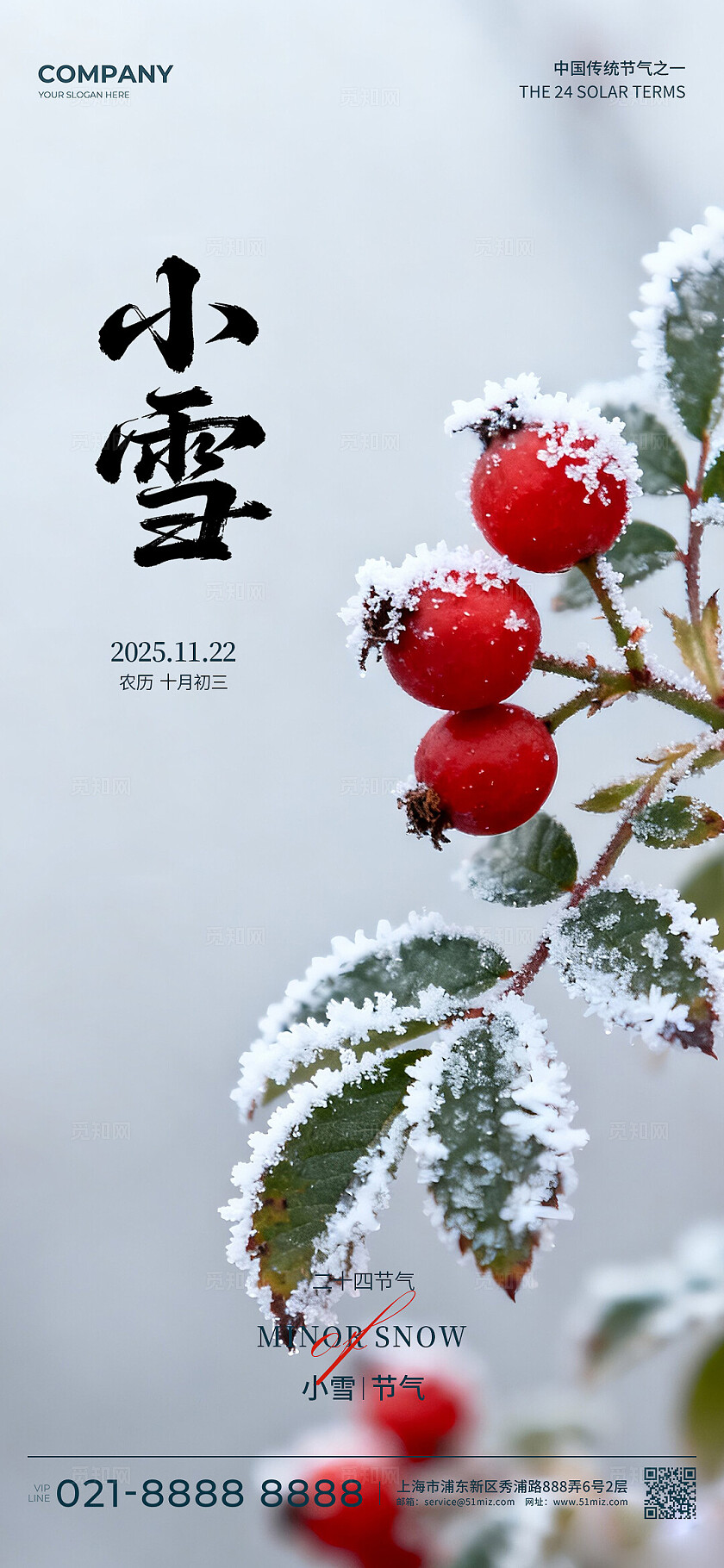 山楂小雪节气雪景红果国风海报设计素材小雪元素