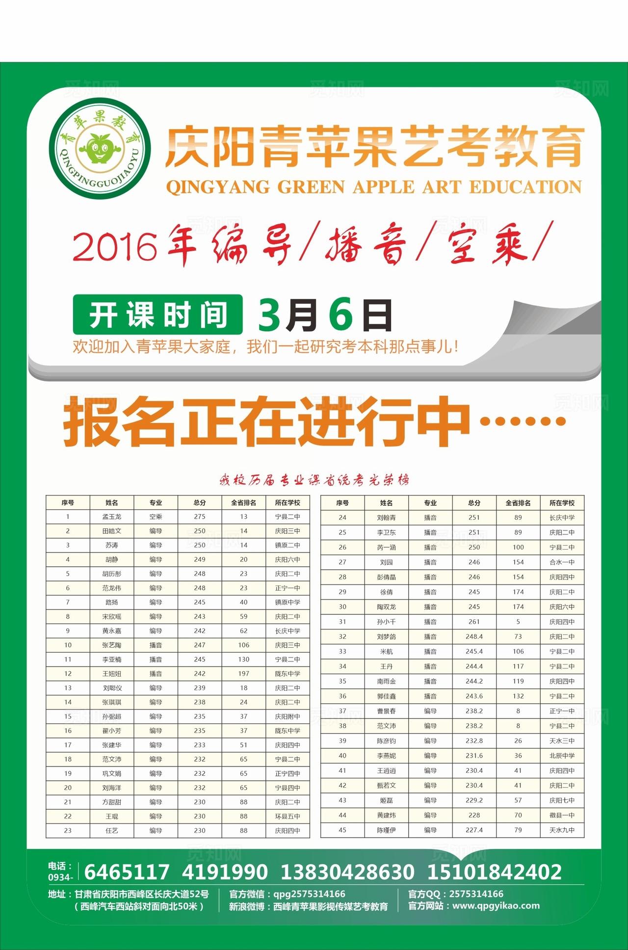 大地保险两折页图片