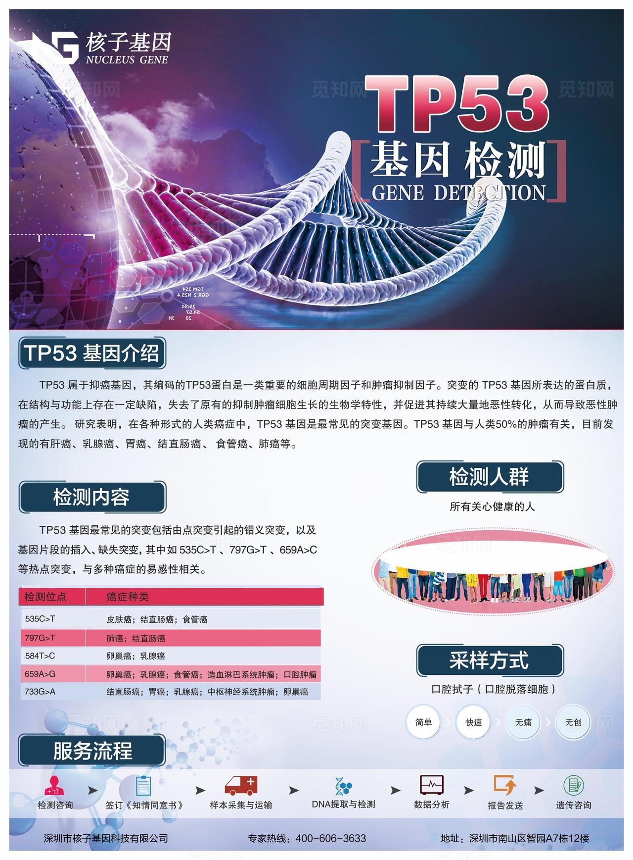 TP53基因检测图片
