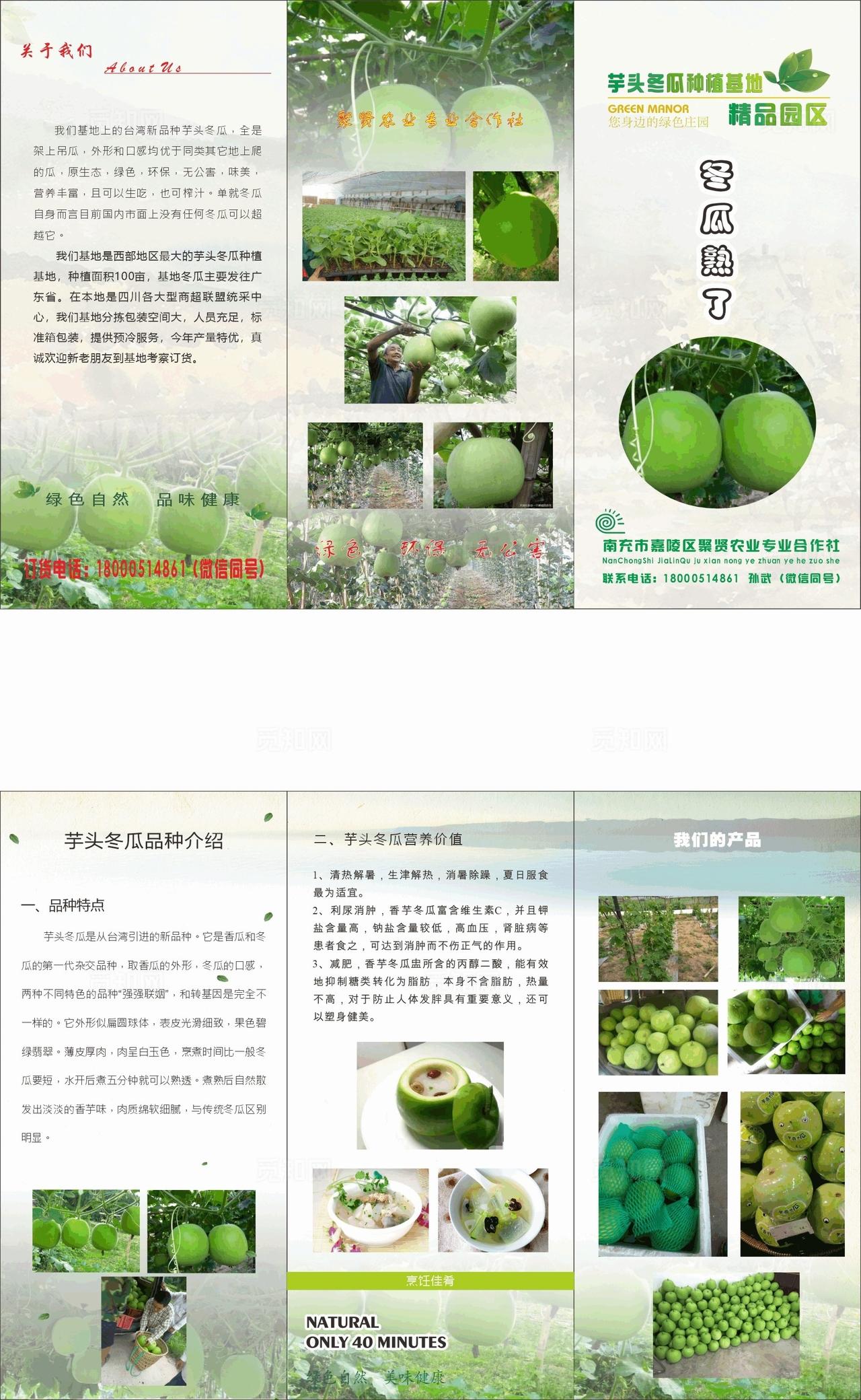 宣传三折页图片