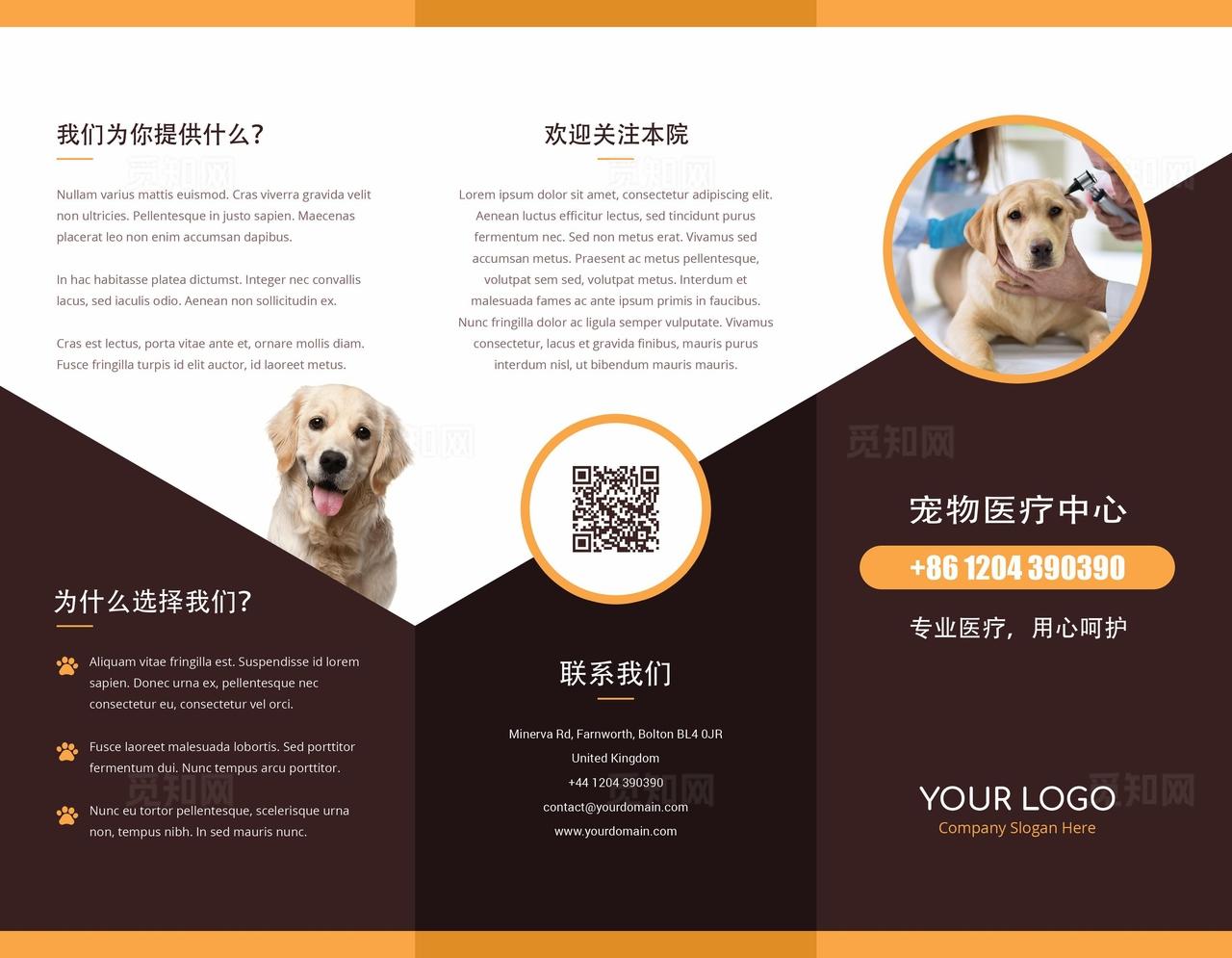 高档时尚大气宠物医疗三折页设计图片