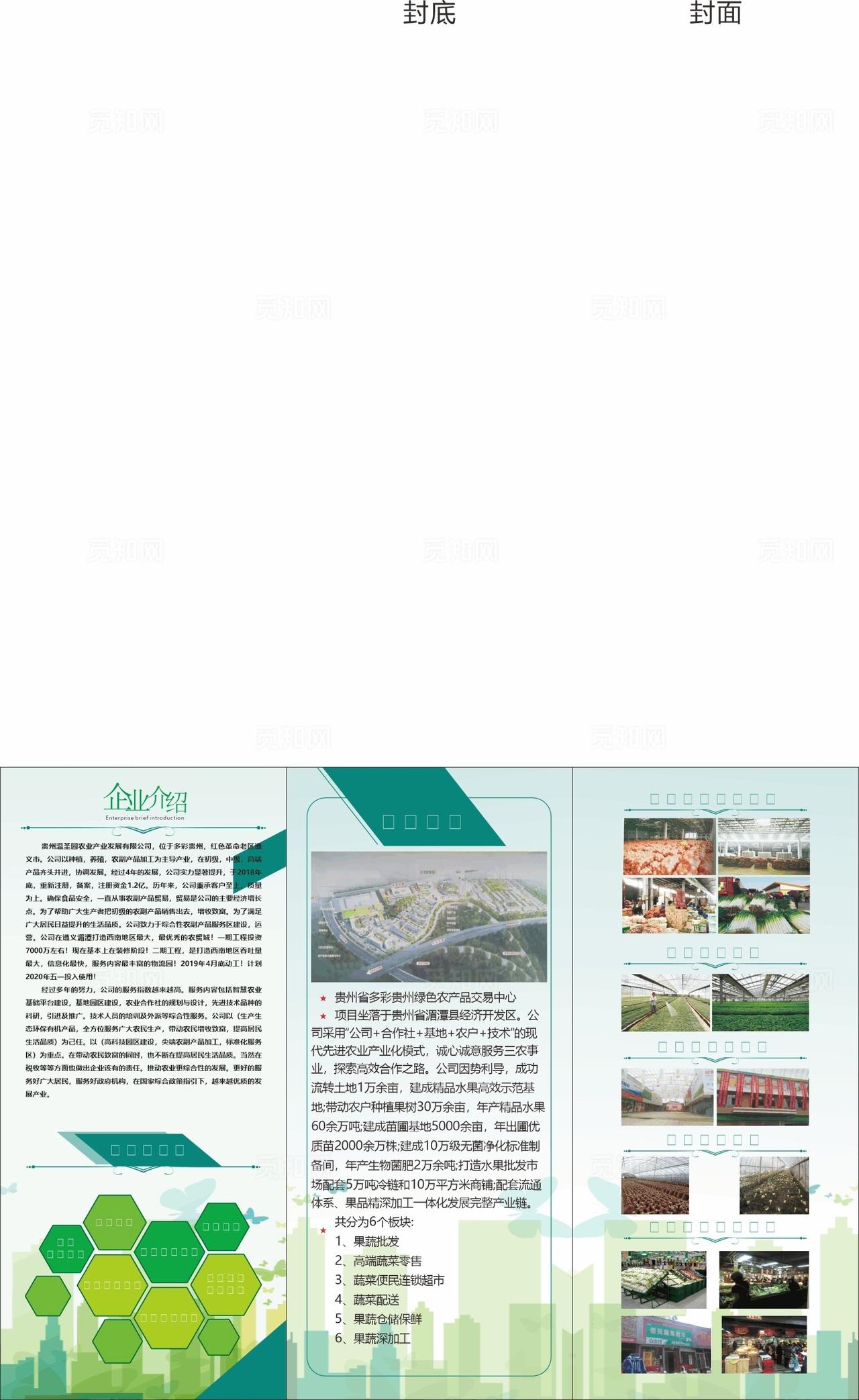 农业环保果蔬画册折页图片