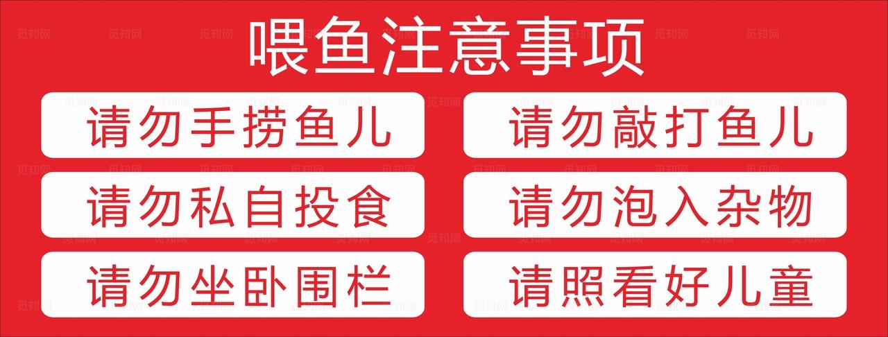 喂鱼注意事项提示图片