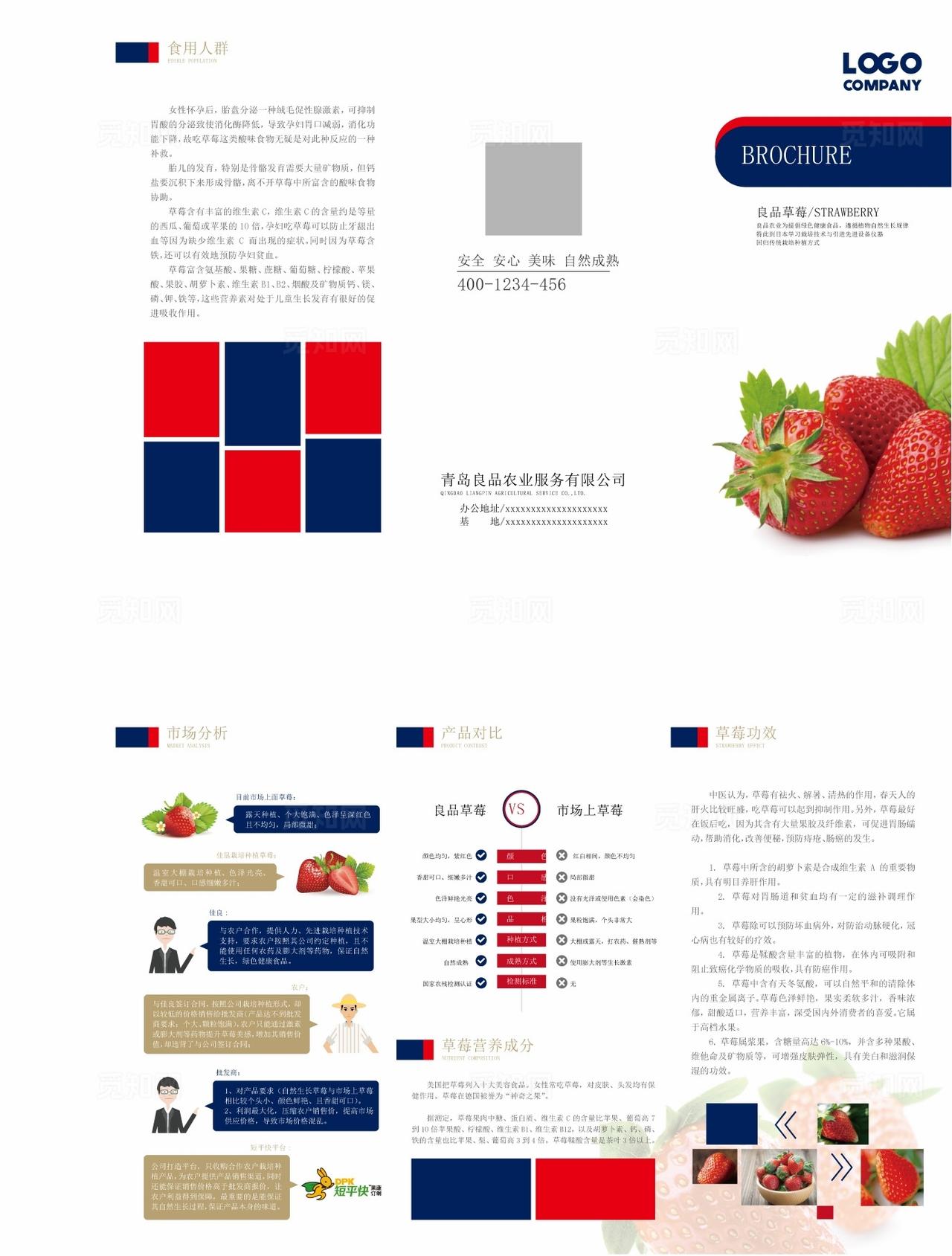 草莓产品折页图片