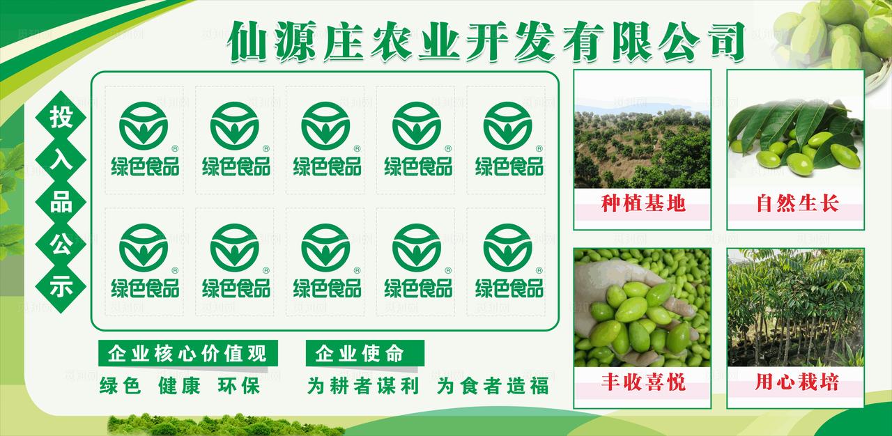 农业展板 橄榄图片